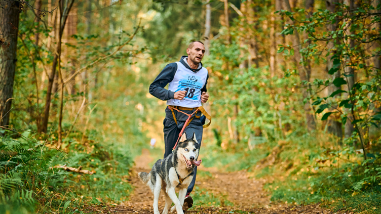 ZAPROSZENIE do udziału w biegu przełajowym z psami na dystansie  5 km „CANICROSS”