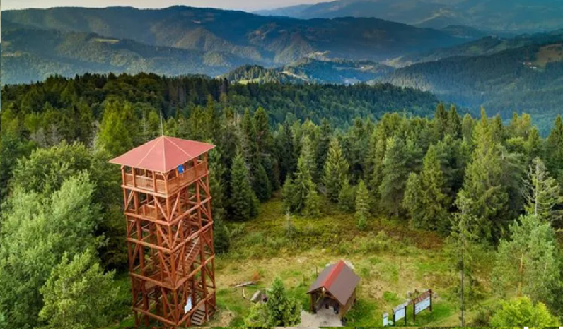 Zaproszenie na eko - rajd turystyczny 25.10.2025