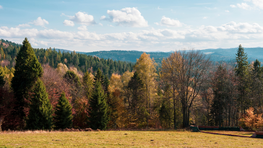 Zaproszenie na eko - rajd turystyczny 04.10.2025