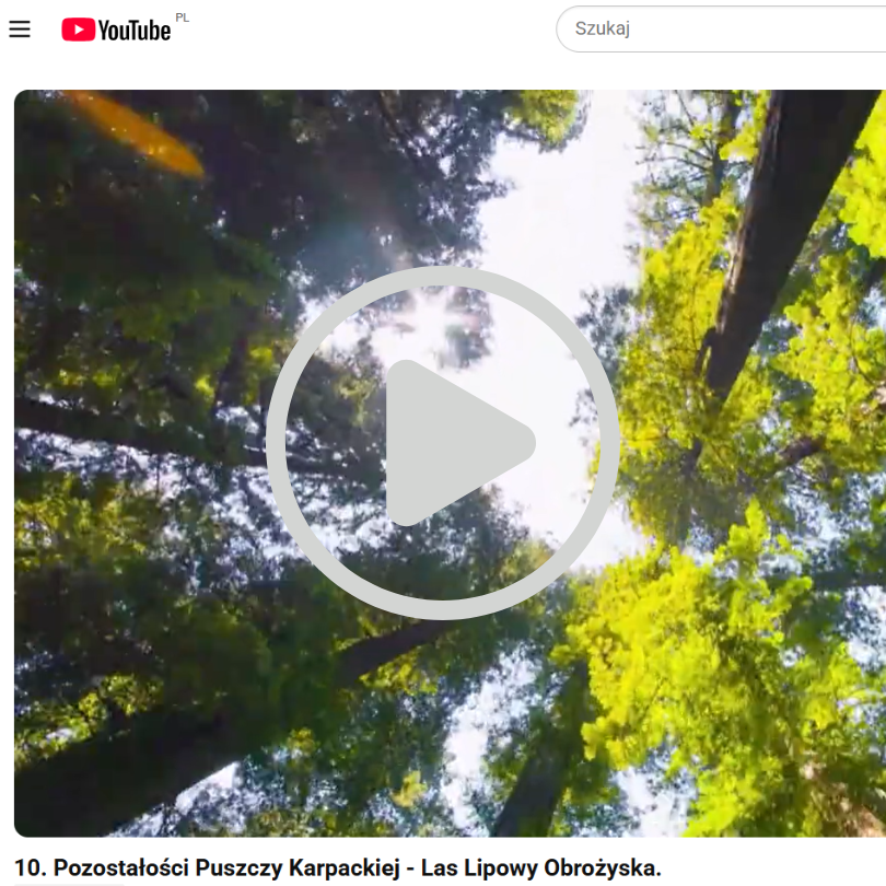 Pogadanka Puszcza yt