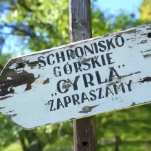 ekorajd makowica  46 zonzon