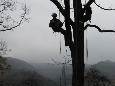 2011wrzesienlisto301